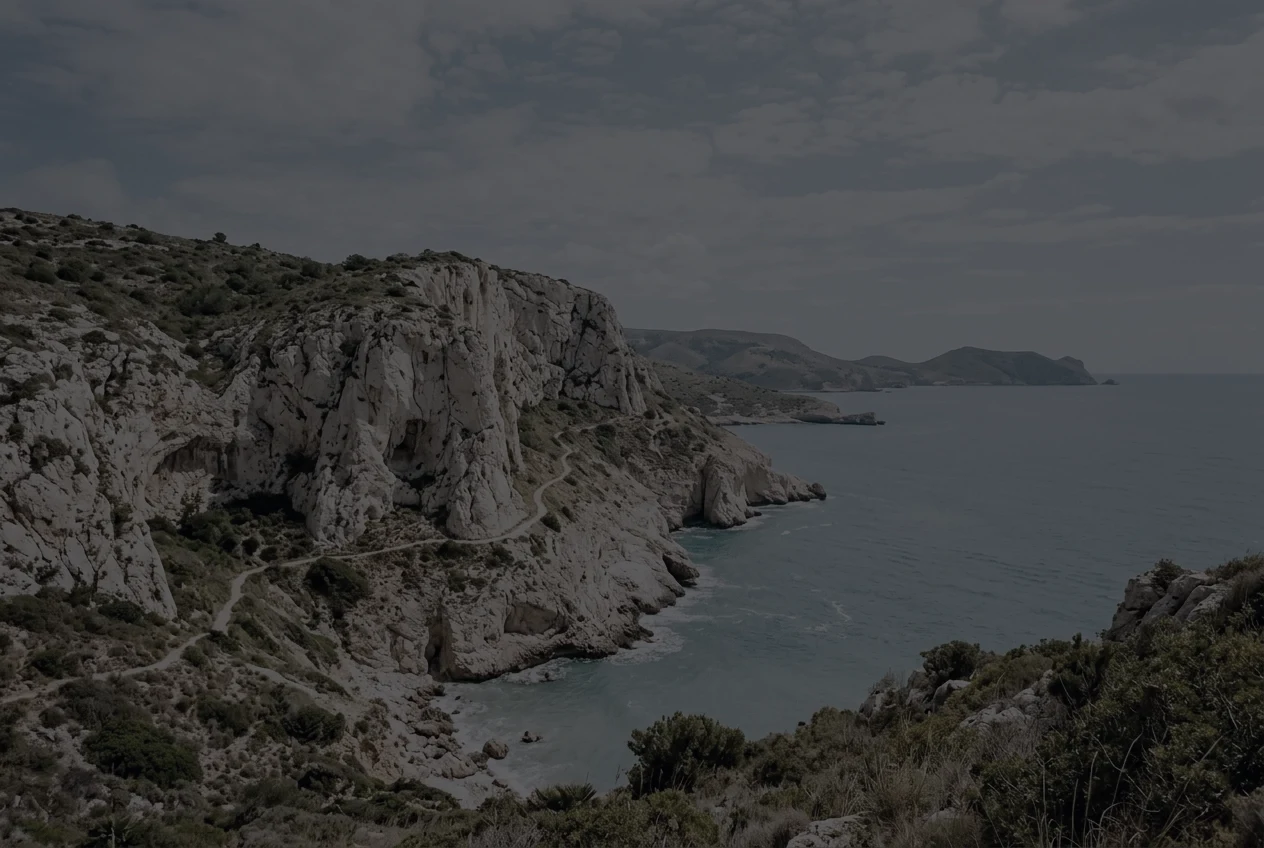 A winding path above a turquoise coastline